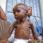 Somalia Crisis – Food for Life Global researching options