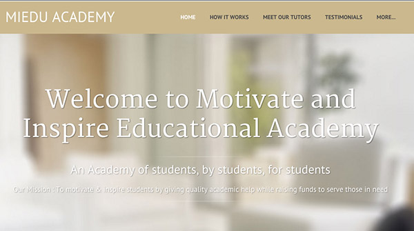 MIEA-Academy
