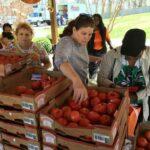 Hungry Harvest collaborates with Food for Life Baltimore