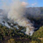 What is Happening in Australia – Understanding the Australian Wildfire Crisis
