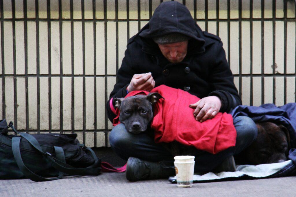бездомный с собакой