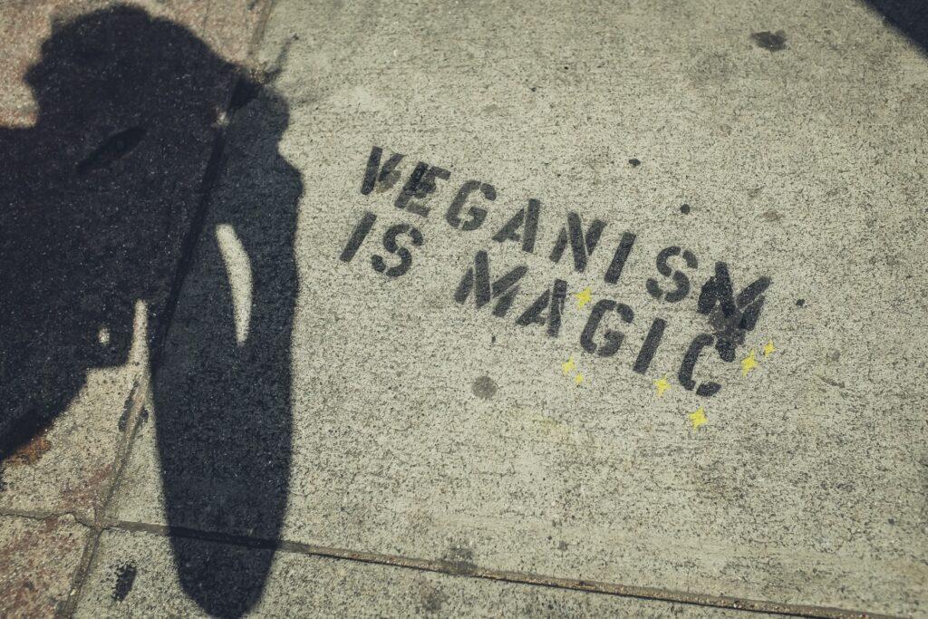 Veganism is magic - print on the ground