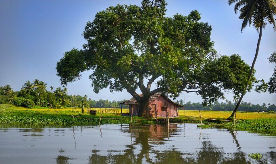 Helfen Sie uns, Opfer von Überschwemmungen in Kerala zu ernähren Kerala Flood Relief Food Service