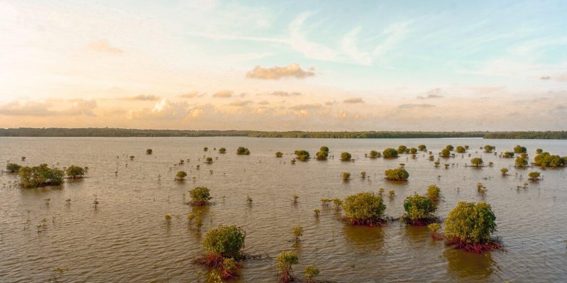 Help Those Affected by Floods and Mudslides in Kenya Floods in Kenya