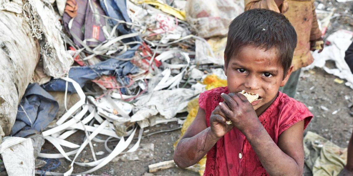 boy is eating junk food