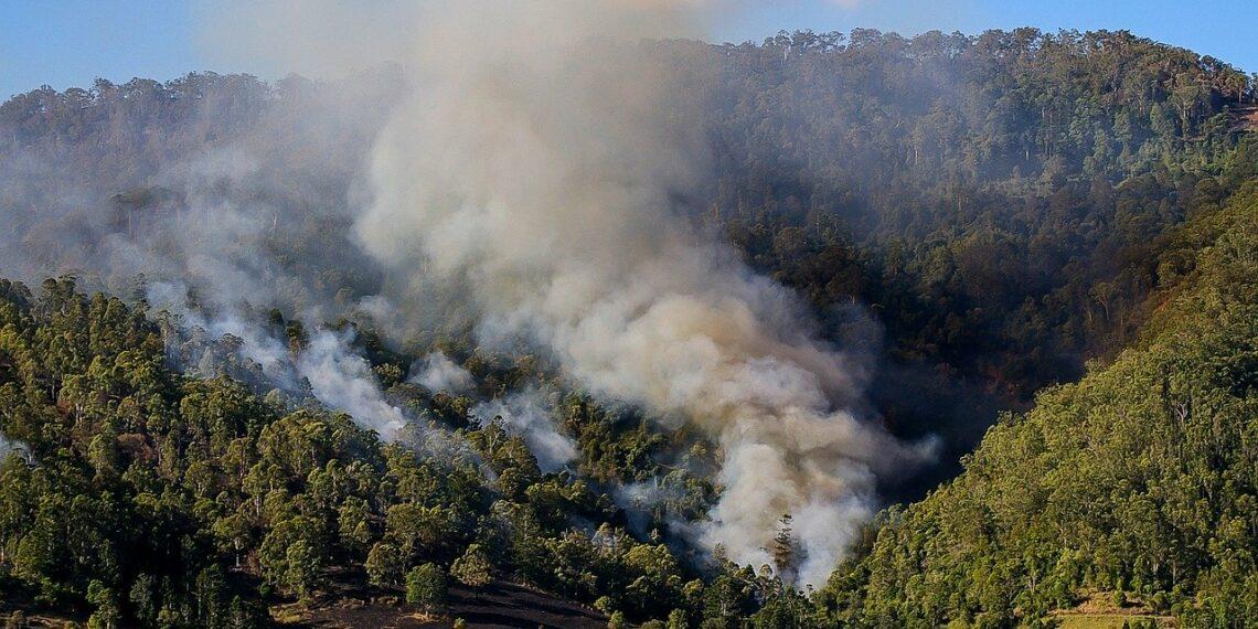Australia wildfire